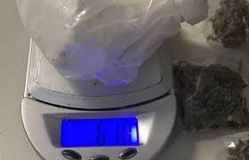 PC encontra meio quilo de cocaína e 308 porções de maconha