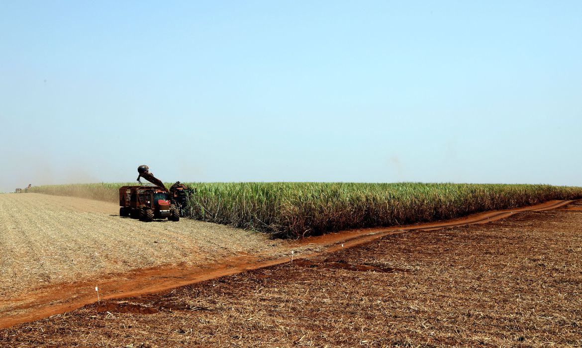 Estimativa de junho prevê safra recorde de 247,4 milhões de toneladas