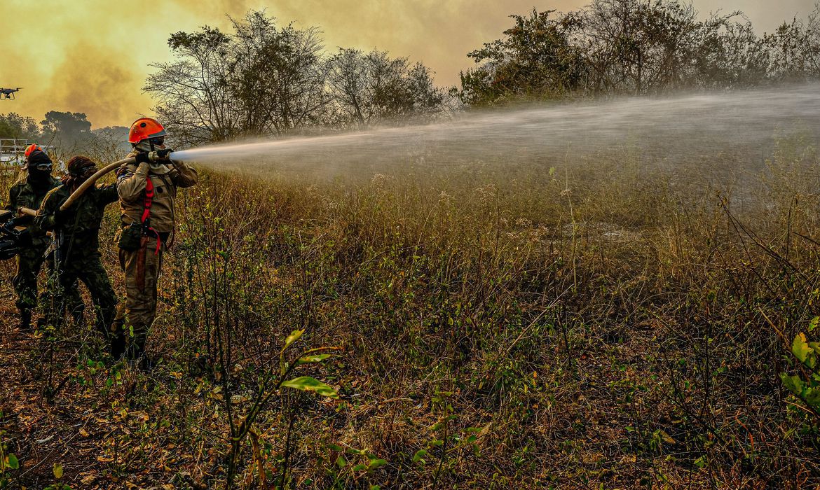 Governo manda 71 soldados para reforçar combate a fogo no Pantanal