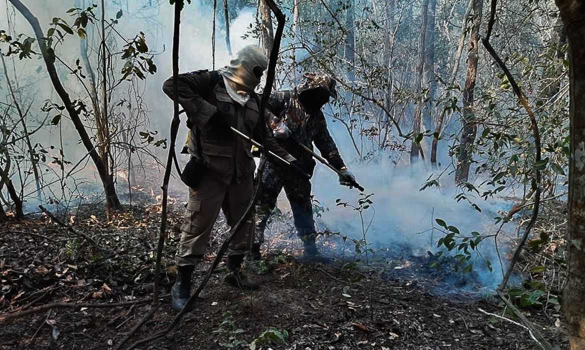 Marinho defende medidas preventivas para evitar incêndios no Pantanal