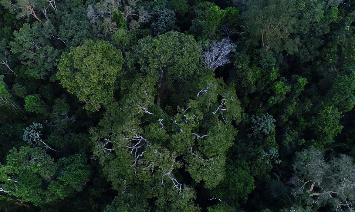 Governo autoriza apoio da Força Nacional ao ICMBio na Amazônia