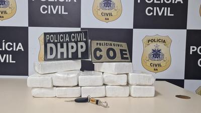 DHPP e COE apreendem droga avaliada em R$ 300 mil